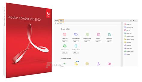 Adobe Acrobat Pro 2025 Download For Windows 10
