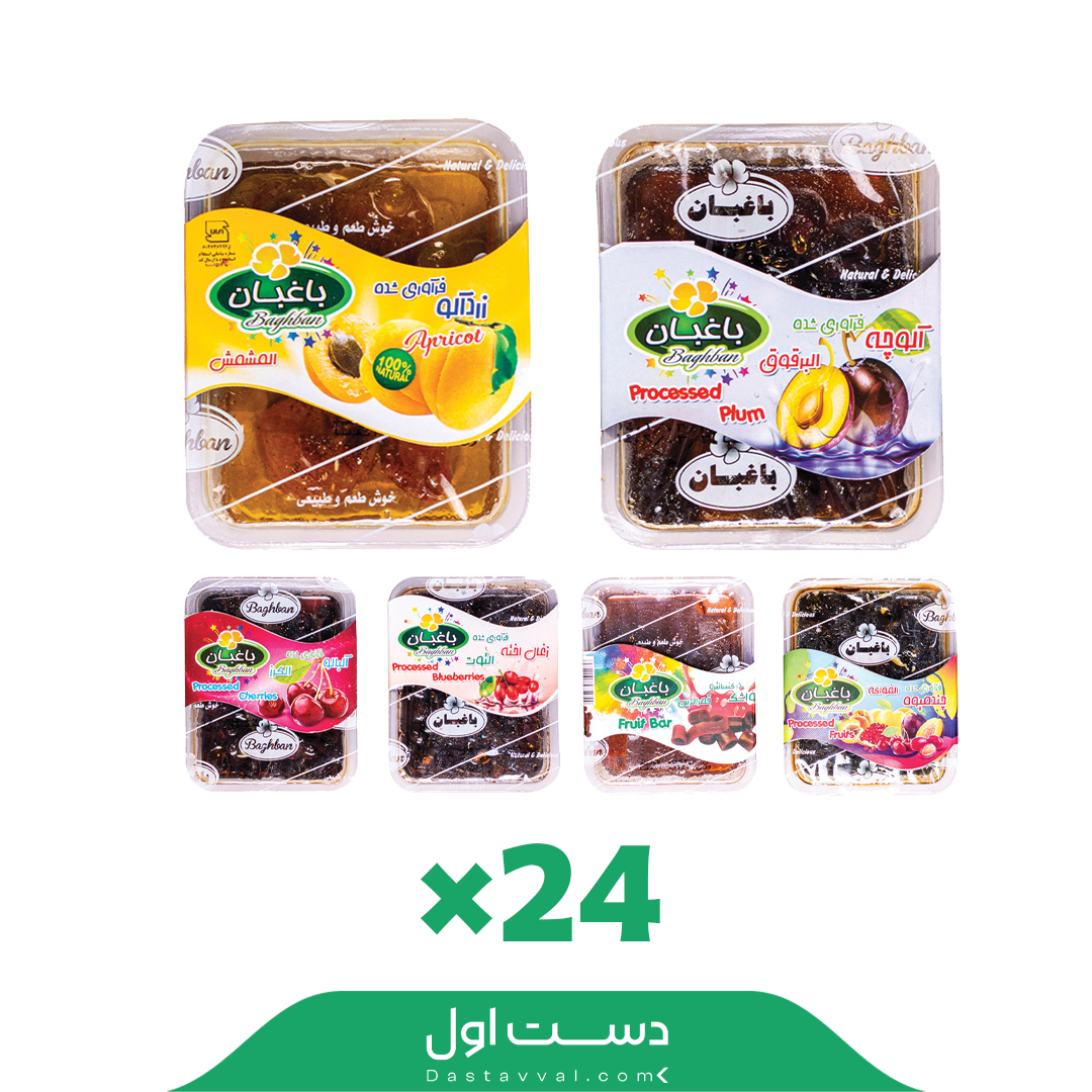 میوه فرآوری شده ظرفی باغبان-24بست در کارتن